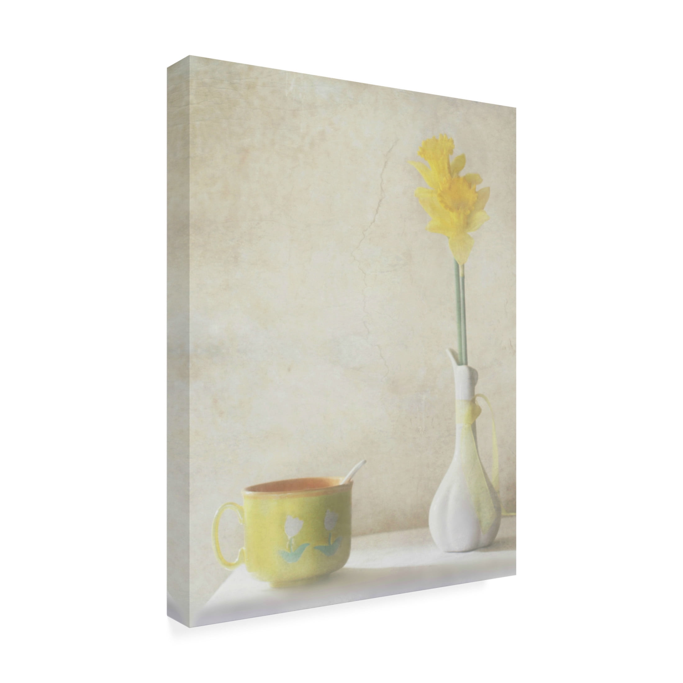 Canvas Wall Art - Delphine Devos 'Daffodils' Wall Art for Living Room, Bedroom, or Office Décor by Trademark Fine Art - 14 x 19 Inches
