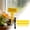 D, variant on FGJHF 1ml Marking Pen + 20pc Labels Labels Garden Labels Labels For Horticulture Needs Vegetable Gardening Labels