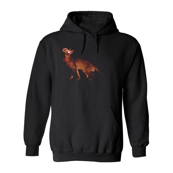 Curious Abyssinian Young Cat  Hoodie Men -Image by Shutterstock, Male Medium