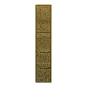 Keune Tinta Color 6.03 Permanent Color Dark Natural Golden Blonde 2 Oz