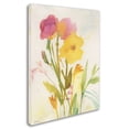 thumbnail image 2 of Trademark Fine Art "Wildflowers Against the Sky" Canvas Art by Sheila Golden, 2 of 3