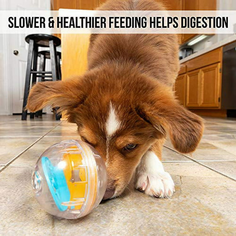 OurPets Pet Zone Interactive IQ Treat Ball Dog Toy 3