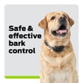 thumbnail image 2 of Bark Collar Premier Pet, impermeable y recargable para perros, 2 of 6