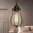 thumbnail image 2 of DYstyle Vintage Bulb Guard Lamp Cage Black Hanging Pendant Light Fixture Metal Wire Cage, 2 of 4