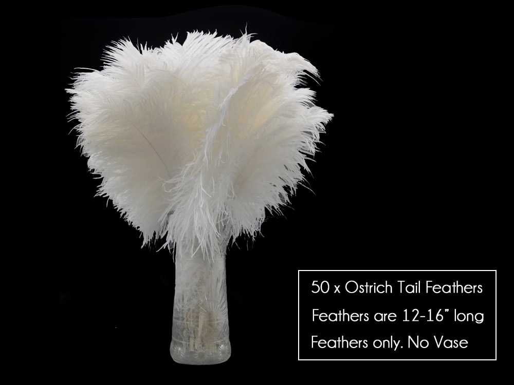 long feathers wholesale