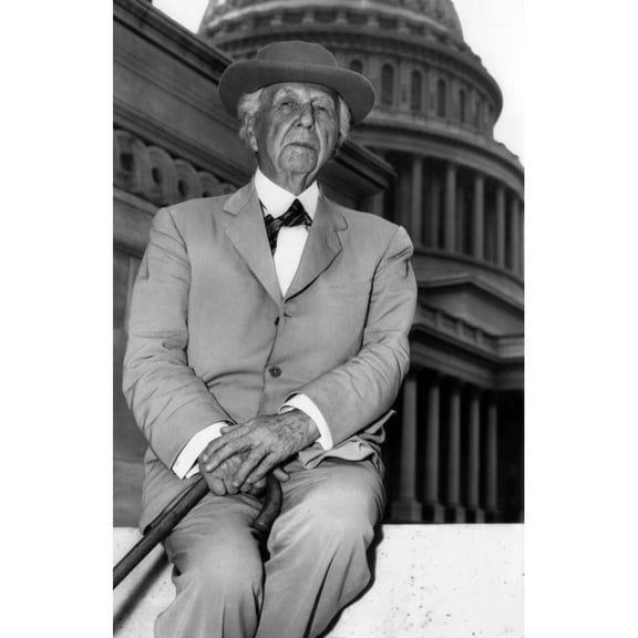 Frank Lloyd Wright (1867-1959) History (24 x 36)