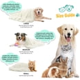 thumbnail image 2 of Junovo Luxury Velvet Fluffy Dog Blanket, Soft and Warm Pet Blankets, 30"x40" , White, 2 of 6