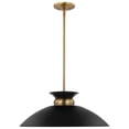 thumbnail image 3 of Nuvo Lighting Perkins 1 Light Medium Pendant Matte Black with Burnished Brass, 3 of 4