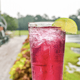 thumbnail image 3 of Owen’s Craft Mixers Transfusion Mix HandA with Premium Ingredients Vegan & Gluten-Free Soda Mocktail and Cocktail Mixer, 3 of 3
