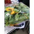 Pride Month Decorations - Artificial Sunflower Garland Silk Sunflower
