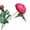 Rose Red, variant on Realistic Fake Flower Artificial Ranunculus Asiaticus 2 Head Realistic Fake Silk Flower with Stem for Home Office Wedding Party Table Centerpiece Vase