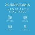 thumbnail image 4 of ScentSationals Aroma Accent Fragrance Oil, Bubbles, 4 of 5