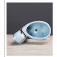 thumbnail image 4 of QYCX Plant Pot, Mini Ceramic Succulent Plant Pots with Drainage Tray, Cat Shaped Succulent Planter Pot Small Ceramic, 4 of 4