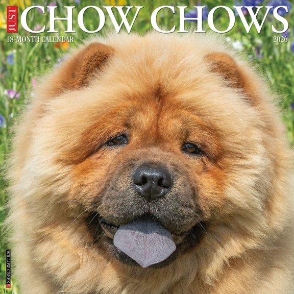 Willow Creek Press, Chow Chows 2026 Wall Calendar, 12'' X 12'', 18-Month Calendar with Stapled Binding
