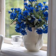 Outsidepride Cornflower Blue - 2000 Seeds