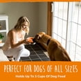 thumbnail image 4 of Agiferg Slow Feed Dog Bowl Insert Interactive Puzzle Maze Feeder For Fast Eaters Prevents Gulping And Vomiting, 4 of 9
