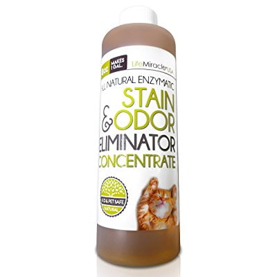 Enzyme Cleaner CONCENTRATE. Safe, All Natural Carpet Cleaning and Laundry Stain Remover & Odor Neutralizer. All In One, All Surface Non-Toxic Cleaner. Concentrate Makes a GALLON (128 oz) Of (Best Non Toxic Cleaning Products)