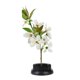 thumbnail image 2 of Herramienta de arreglo fijo para decoración de flores, aguja redonda negra de Ikebana Kenzan (60mm), 2 of 8