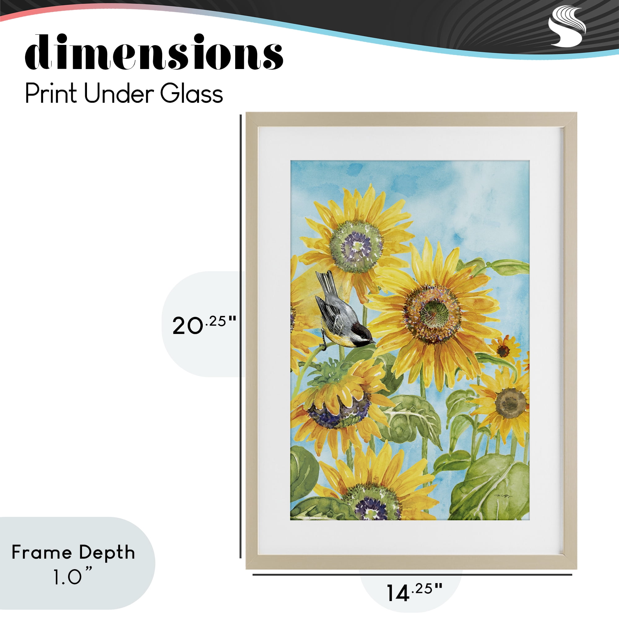 Stupell Industries Sunflower Honey Bird Birch Framed Print Under Glass, design by Tim Coffey