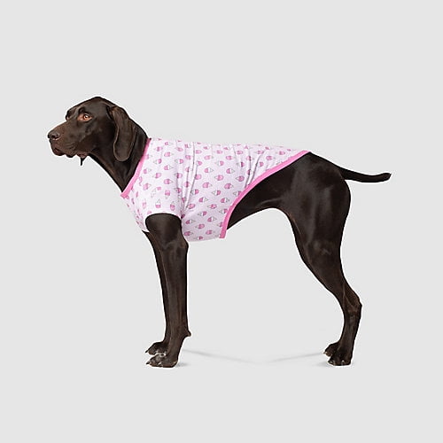 dog cone walmart canada