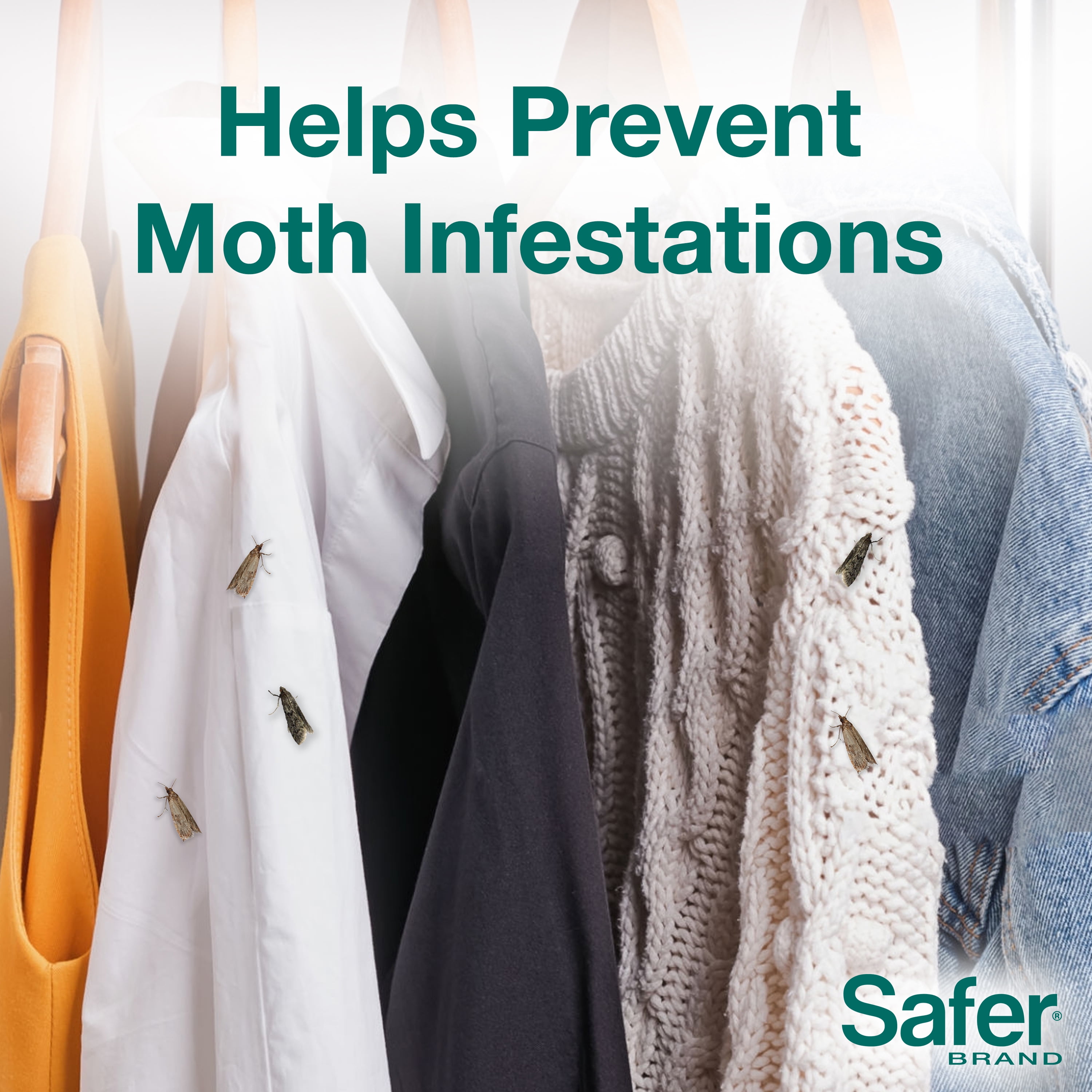 Buy EnviroSafe The Clothes Moth Trap Online
