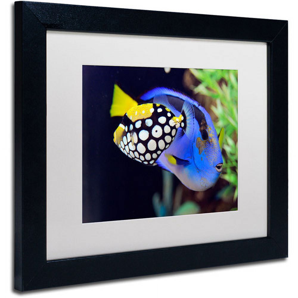 Trademark Fine Art "Colorful Tropical Fish" Canvas Art by Kurt Shaffer, White Matte, Black Frame