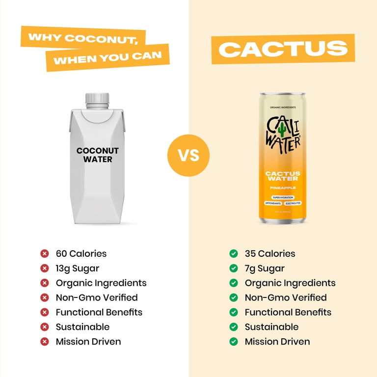 Caliwater Organic Pineapple Cactus Water, 12 fl oz Cans, 12 Pack photo 7