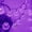 Purple, variant on Outdoor Solar Light String, 22m 200LED Solar Shell Light String Waterproof 8 Modes Ocean Theme Lights String Decoration