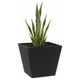 thumbnail image 1 of Maceta Cuadrada Elly Decor Clavel con Drenaje Color Negro 30 x 30 cm, 1 of 6