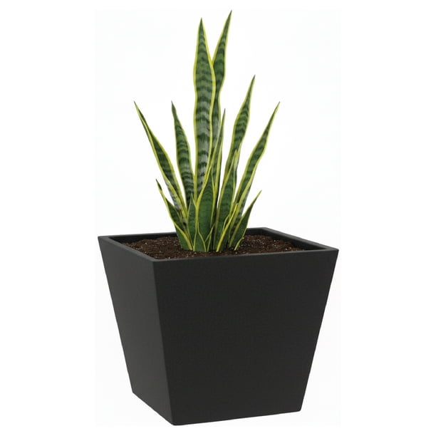 Maceta Cuadrada Elly Decor Clavel con Drenaje Color Negro 30 x 30 cm