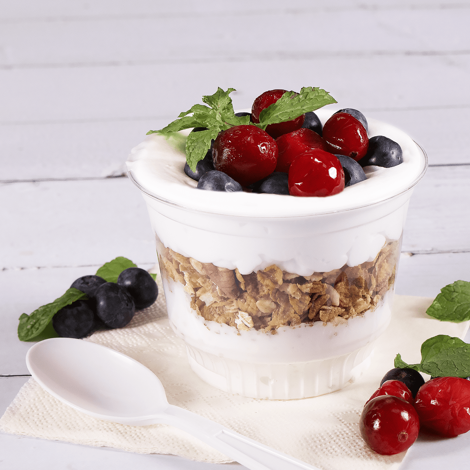 Tea Zone Yogurt Powder (2.2 lbs)