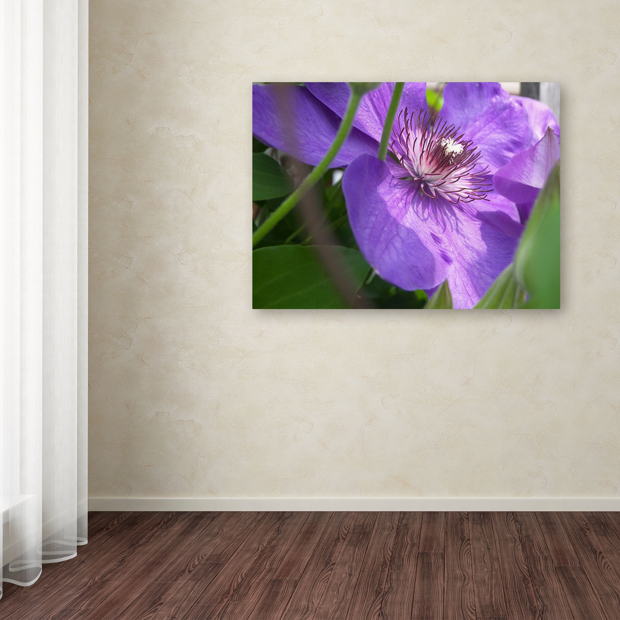 Trademark Fine Art "Meaningful Bliss" Canvas Art by Monica Fleet