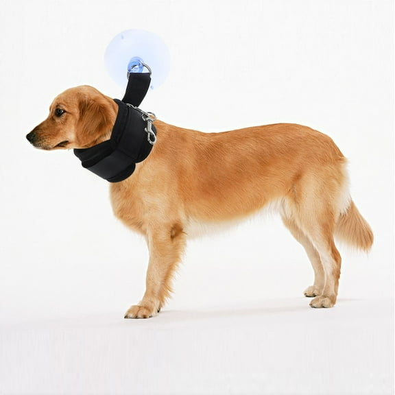 PBPBOX dog bath supplies for pet owners 1Pack adjustable nylon grooming loop holder