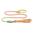 thumbnail image 1 of Slip Lead Dog Leash 5Ft Heavy Duty Rope Leash No Pull Pet Training Lead Slip Leash for Large Medium Dogs, 1 of 8
