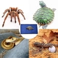 thumbnail image 3 of Cute Pet Usb Electric Blanket Waterproof Constant Temperature Heating Pad Blue, 3 of 4