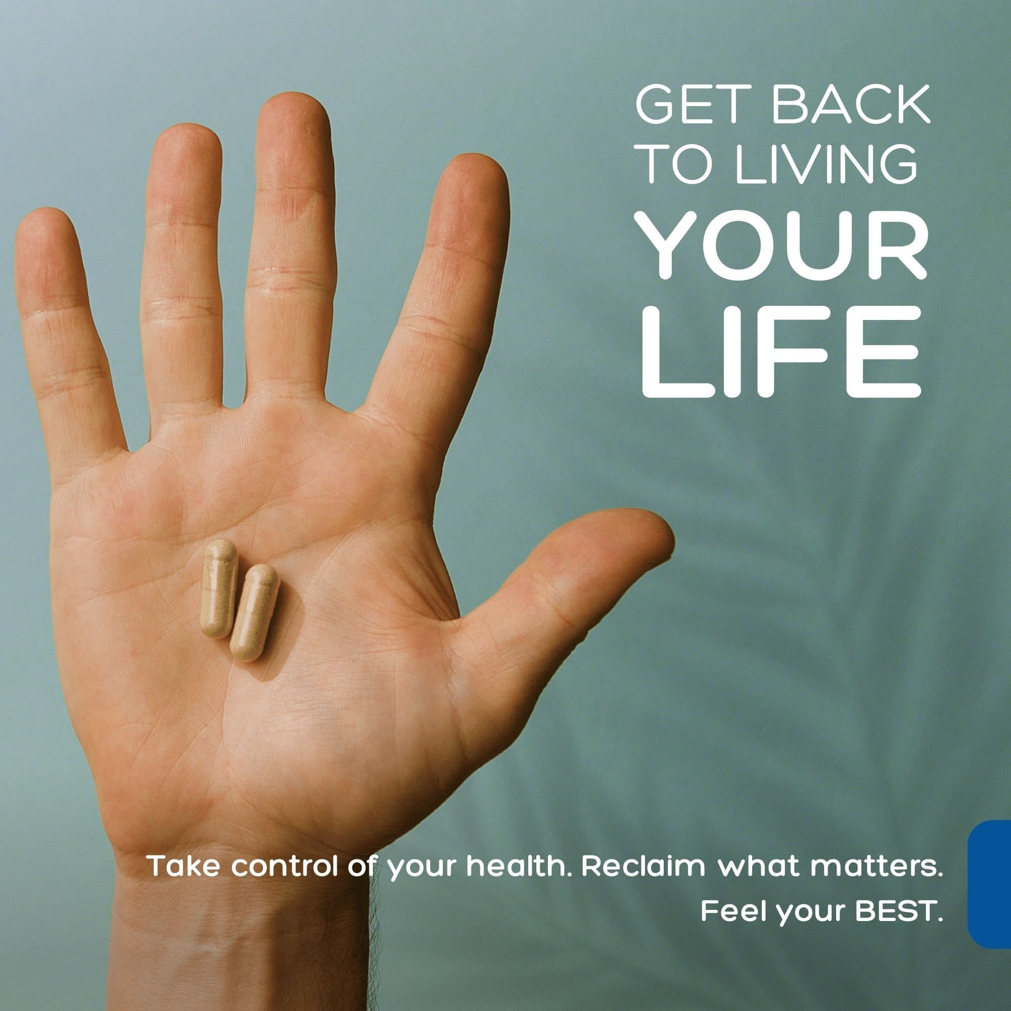 16-in-1 Immune Support - L-lysine Dietary Supplement - 60 Vegan Capsules - Palmara Health