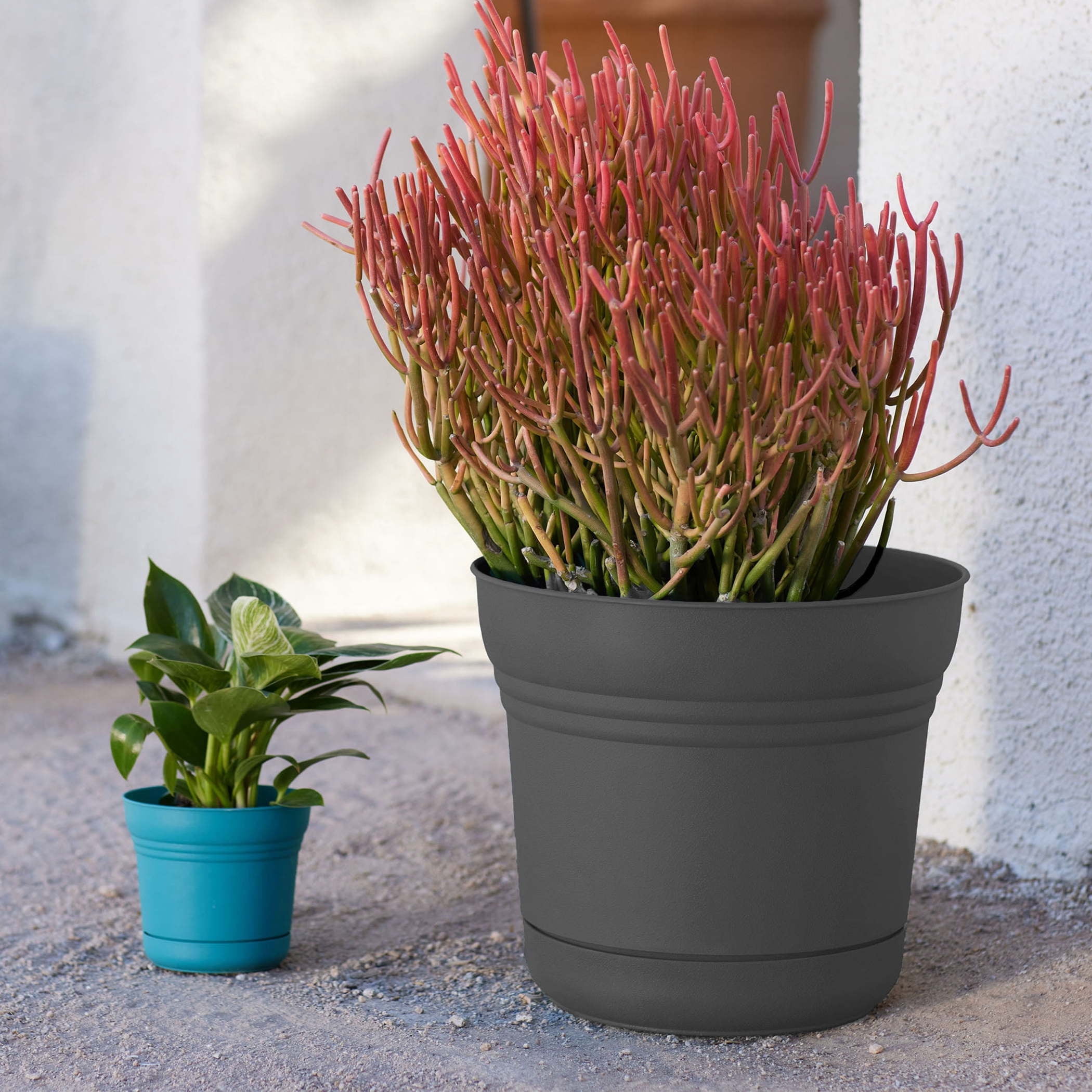 Bloem Saturn 12" Round Plastic Planter - Indoor/Outdoor, Snap-in Saucer & Drainage Holes, Charcoal