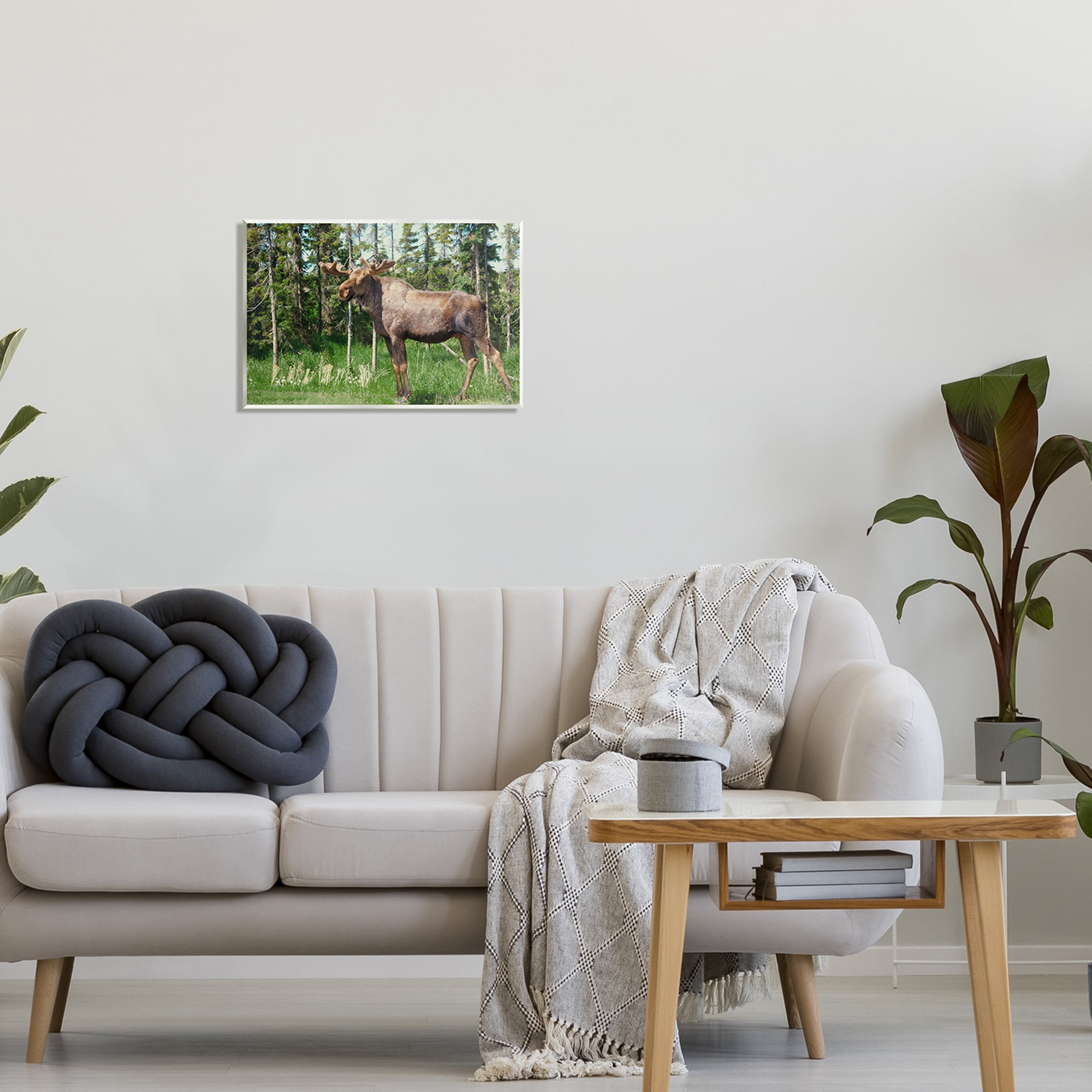 Stupell Moose Forest Grove Woodland Landscape Animals & Insects Photography Wall Plaque Unframed Art Print Wall Art