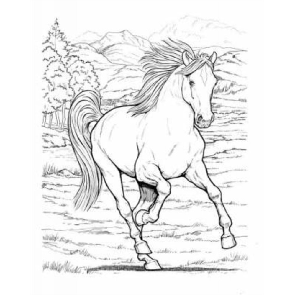 Wonderful World of Horses Coloring Book