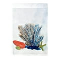 thumbnail image 1 of Betsy Drake FL1070 12.5 x 18 in. Coral & Shells Flag, 1 of 1