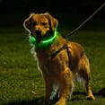thumbnail image 6 of Goowood Light Up Dog Collar USB Rechargeable Glowing Dog Collar Flashing LED Night Safety Adjustable for Small Medium Large Dogs Plastic Collar, 6 of 8