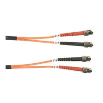 Black Box 1m ST-ST 62.5-Micron Multimode Value Line Fiber Patch Cable