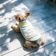 thumbnail image 4 of Cooling Dog Vest with Ice Pack Pocket, Breathable Mesh Summer Jacket with Matching Leash, Adjustable Pet Cooling Apparel for Hot Weather Walks(Light Blue,L), 4 of 5