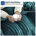 thumbnail image 3 of Heated Blanket Electric King Striped Flannel Blanket 90"x100" Electric Blanket with 6 Heat Settings 10 Hour Timer Auto Shut Off, Teal, 3 of 6