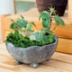 thumbnail image 3 of Musgo Artificial Para Plantas En Maceta, Musgo Verde, Decoración Del Hogar, Jardín De Hadas, Manualidades, Decoración De Bodas, Verde Fresco, 3 of 8