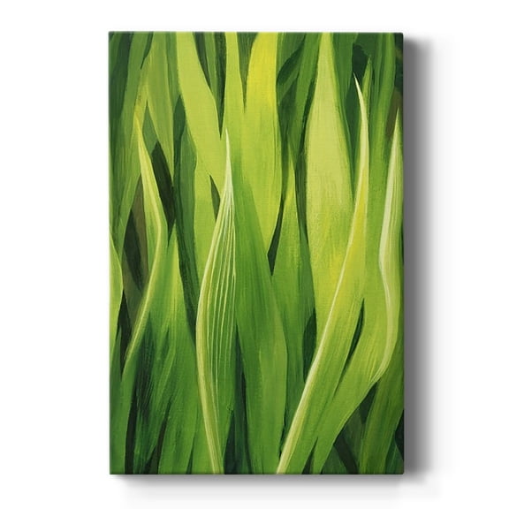 Blades of Grass II Premium Gallery Wrapped Canvas - Ready to Hang
