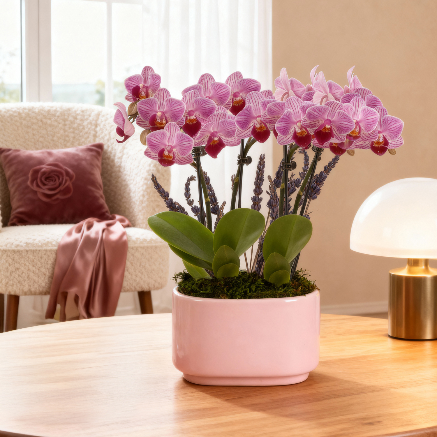 4IN Mini Pink Orchid Planter with Lavender – Pink Jan Pot