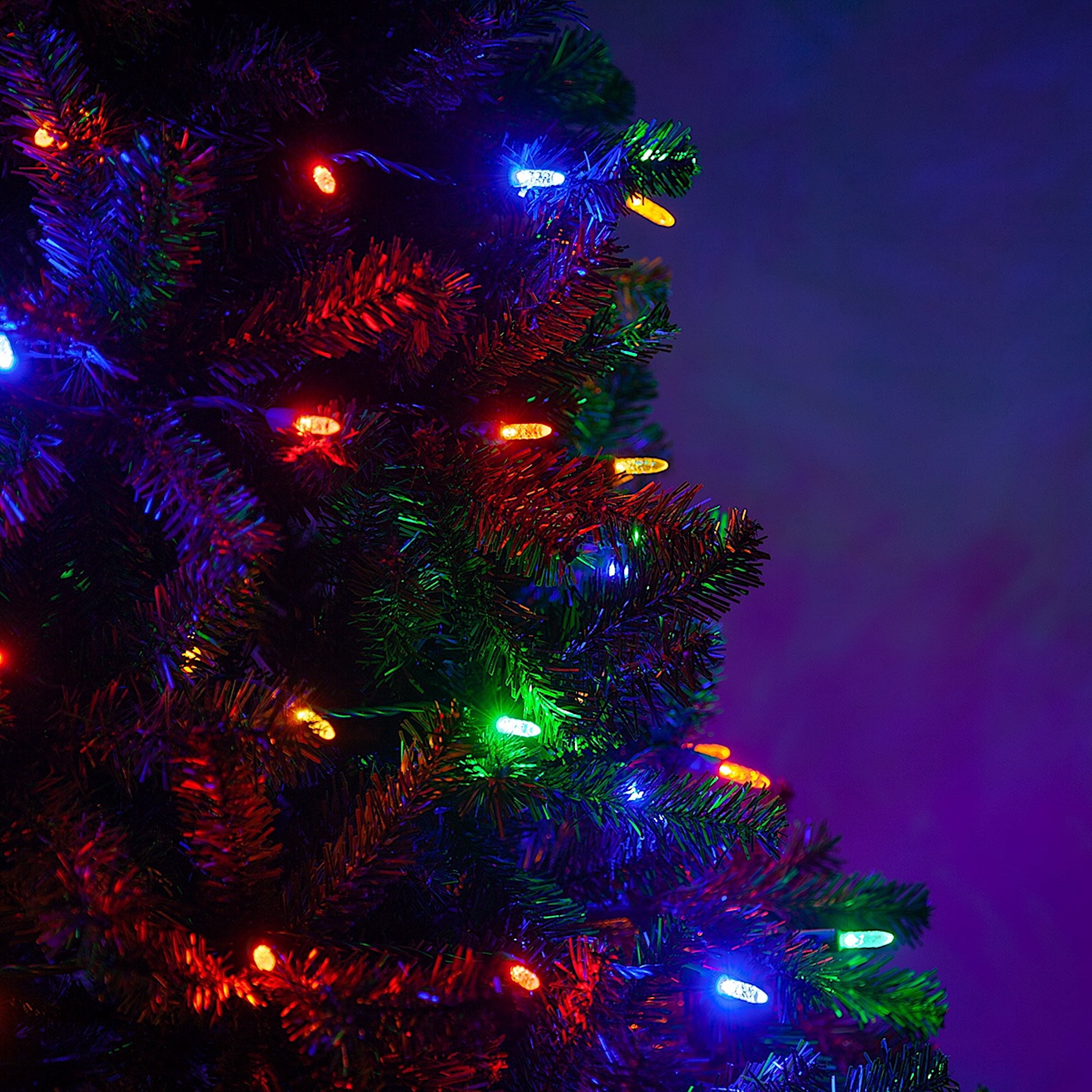 Wintergreen Lighting 70 Multicolor LED Christmas Tree Lights, 4" Spacing, 24', Faceted String Lights for Holiday Party Decoration