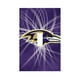 thumbnail image 1 of Panel de interruptores de pared con marco romano de cuero individual Ravens Switching Lights, interruptor de luz individual, doble o con tirador, 1 of 8
