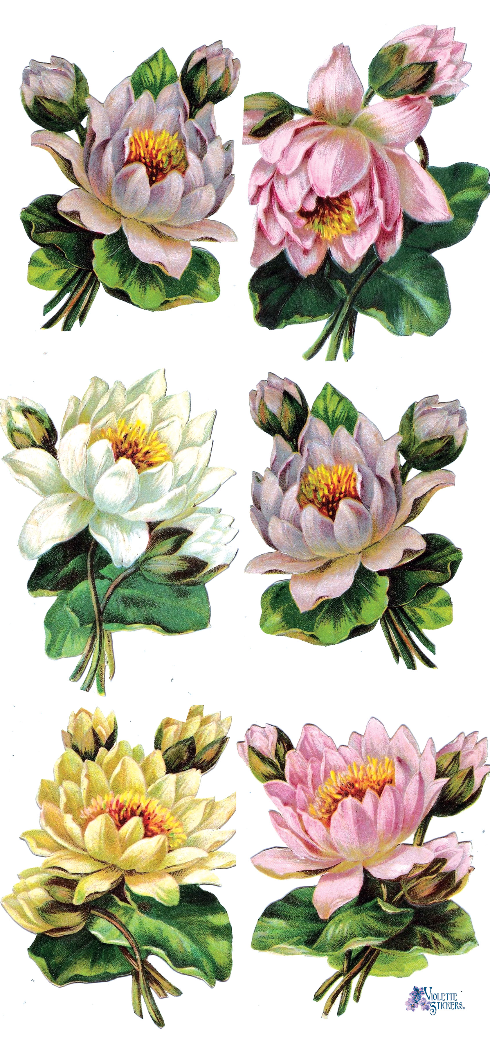 Violette Stickers Trade Cards 2 Sticker sheets